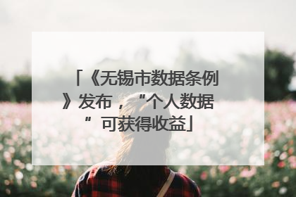 《无锡市数据条例》发布，“个人数据”可获得收益