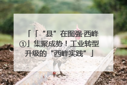 「“县”在图强·西峰①」集聚成势！工业转型升级的“西峰实践”