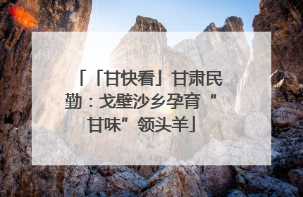 「甘快看」甘肃民勤：戈壁沙乡孕育“甘味”领头羊