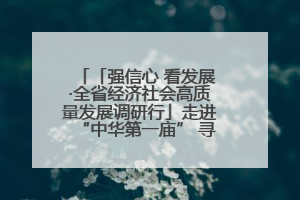 「强信心 看发展·全省经济社会高质量发展调研行」走进“中华第一庙” 寻根伏羲 祭祖龙城