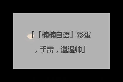 「楠楠自语」彩蛋，手雷，邋遢帅