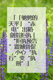 「驰骋的天平」“赤电”出鞘·剑指拒执︱“拒执预告”震撼督促，小心“执行”变“执刑”