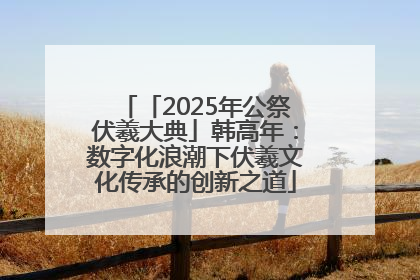 「2025年公祭伏羲大典」韩高年：数字化浪潮下伏羲文化传承的创新之道
