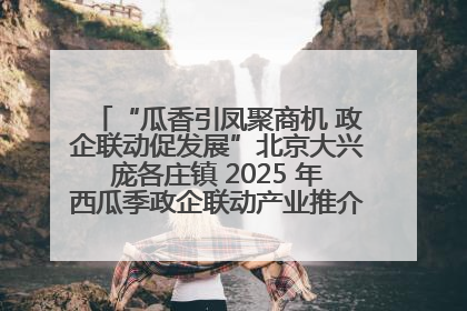“瓜香引凤聚商机 政企联动促发展”北京大兴庞各庄镇 2025 年西瓜季政企联动产业推介活动圆满举行