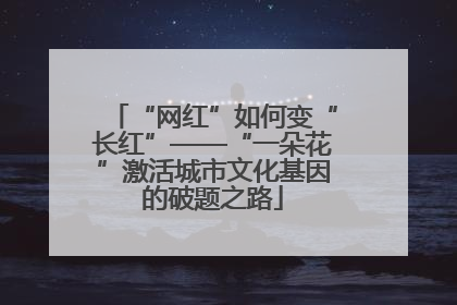 “网红”如何变“长红”——“一朵花”激活城市文化基因的破题之路