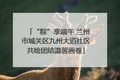 “粽”享端午 兰州市城关区九州大道社区共绘团结温馨画卷