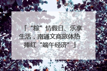 “粽”情假日、乐享生活，南通文商旅体热捧红“端午经济”
