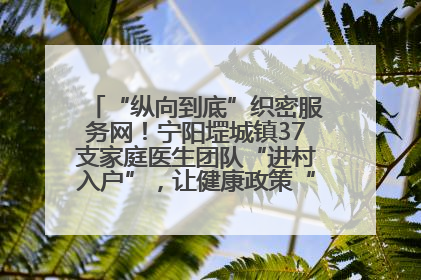 “纵向到底”织密服务网！宁阳堽城镇37支家庭医生团队“进村入户”，让健康政策“落地生根”