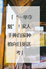 “一举夺魁”！家人手捧自家种植向日葵送考