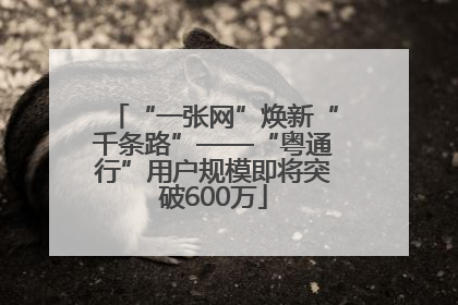 “一张网”焕新“千条路”——“粤通行”用户规模即将突破600万