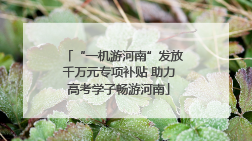 “一机游河南”发放千万元专项补贴 助力高考学子畅游河南