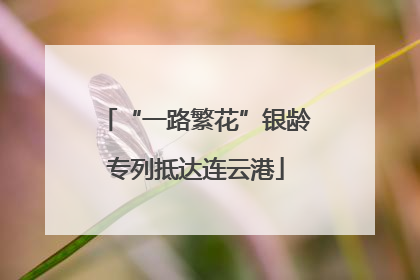 “一路繁花”银龄专列抵达连云港