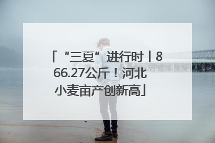 “三夏”进行时丨866.27公斤！河北小麦亩产创新高
