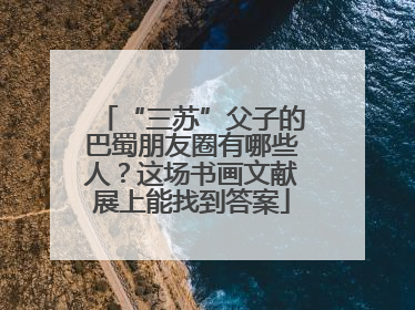 “三苏”父子的巴蜀朋友圈有哪些人？这场书画文献展上能找到答案