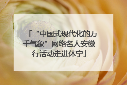 “中国式现代化的万千气象”网络名人安徽行活动走进休宁