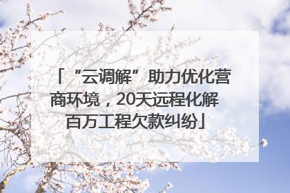 “云调解”助力优化营商环境，20天远程化解百万工程欠款纠纷