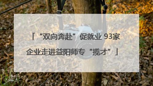 “双向奔赴”促就业 93家企业走进益阳师专“揽才”