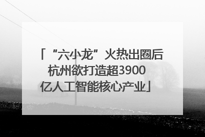 “六小龙”火热出圈后 杭州欲打造超3900亿人工智能核心产业