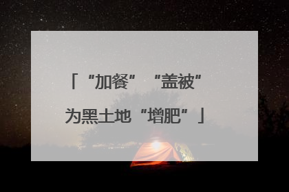 “加餐”“盖被” 为黑土地“增肥”