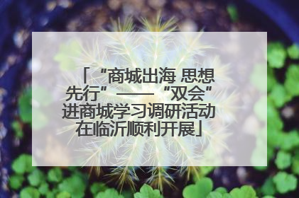 “商城出海 思想先行”——“双会”进商城学习调研活动在临沂顺利开展