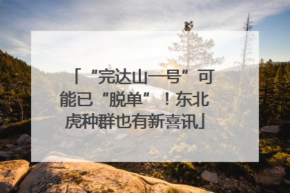 “完达山一号”可能已“脱单”！东北虎种群也有新喜讯