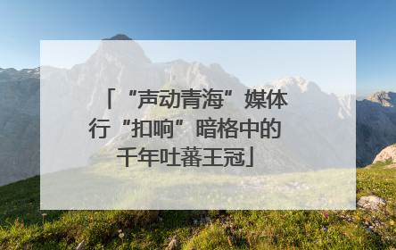 “声动青海”媒体行“扣响”暗格中的千年吐蕃王冠