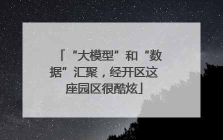 “大模型”和“数据”汇聚，经开区这座园区很酷炫