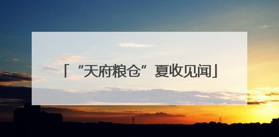 “天府粮仓”夏收见闻