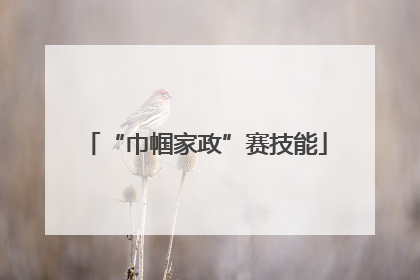 “巾帼家政”赛技能