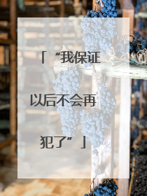 “我保证以后不会再犯了”