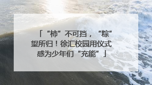 “柿”不可挡，“粽”望所归！徐汇校园用仪式感为少年们“充能”