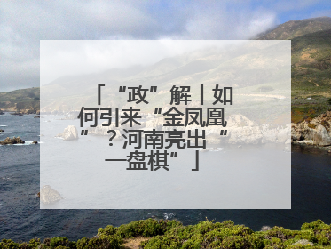 “政”解丨如何引来“金凤凰”？河南亮出“一盘棋”