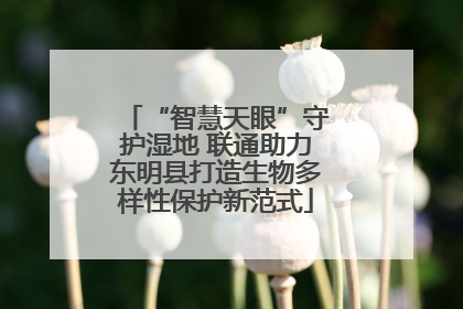 “智慧天眼”守护湿地 联通助力东明县打造生物多样性保护新范式
