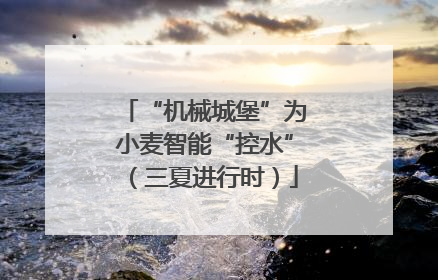 “机械城堡”为小麦智能“控水”（三夏进行时）