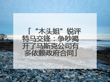 “木头姐”锐评特马交锋：争吵揭开了马斯克公司有多依赖政府合同