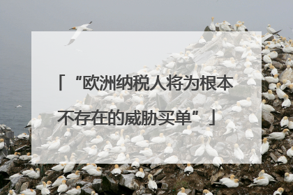 “欧洲纳税人将为根本不存在的威胁买单”