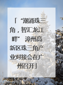 “潮涌珠三角，智汇龙江畔” 漳州高新区珠三角产业对接会在广州召开