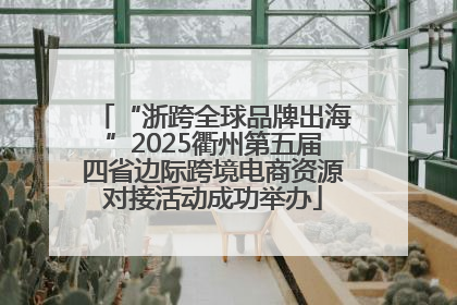 “浙跨全球品牌出海”2025衢州第五届四省边际跨境电商资源对接活动成功举办