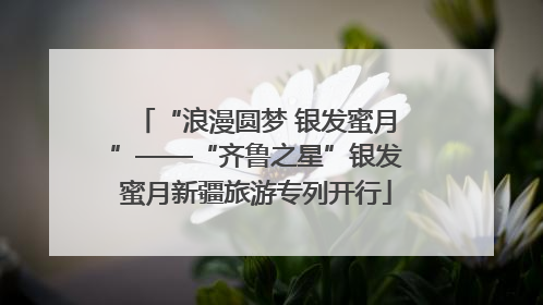“浪漫圆梦 银发蜜月”——“齐鲁之星”银发蜜月新疆旅游专列开行