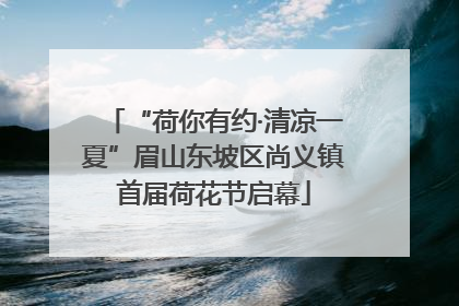 “荷你有约·清凉一夏”眉山东坡区尚义镇首届荷花节启幕