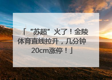 “苏超”火了！金陵体育直线拉升，几分钟20cm涨停！