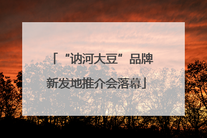 “讷河大豆”品牌新发地推介会落幕