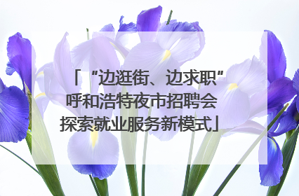 “边逛街、边求职” 呼和浩特夜市招聘会探索就业服务新模式