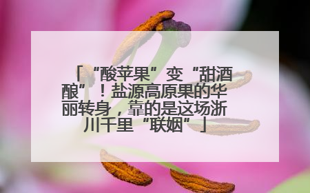 “酸苹果”变“甜酒酿”！盐源高原果的华丽转身，靠的是这场浙川千里“联姻”