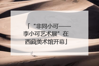 “非同小可——李小可艺术展”在西藏美术馆开幕