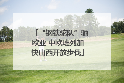 “钢铁驼队”驰欧亚 中欧班列加快山西开放步伐