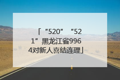 “520”“521”黑龙江省9964对新人喜结连理