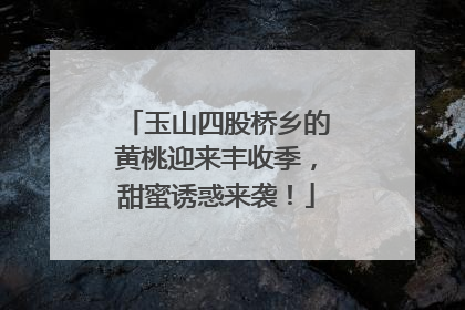 玉山四股桥乡的黄桃迎来丰收季，甜蜜诱惑来袭！