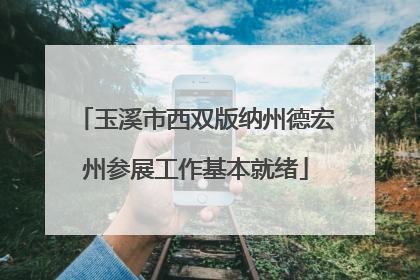 玉溪市西双版纳州德宏州参展工作基本就绪