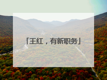 王红，有新职务